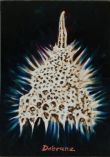 Radiolaria 1, oil on canvas, 80 x 55 cm, © Klaus Dobrunz